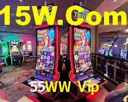 Premium Interface 55WW Vip